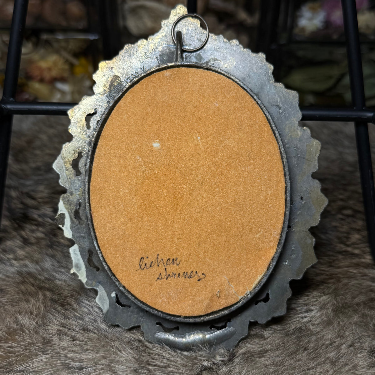 mummified squirrel head vintage plaque