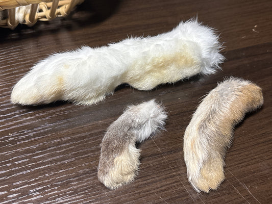 domestic farmed bunny feet