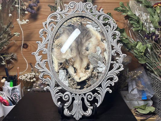 tanned opossum face & lady butterflies ornate frame