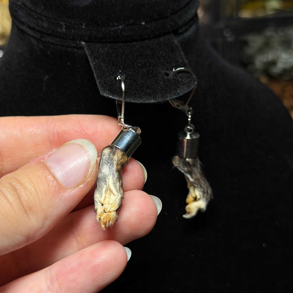 baby opossum paw earrings
