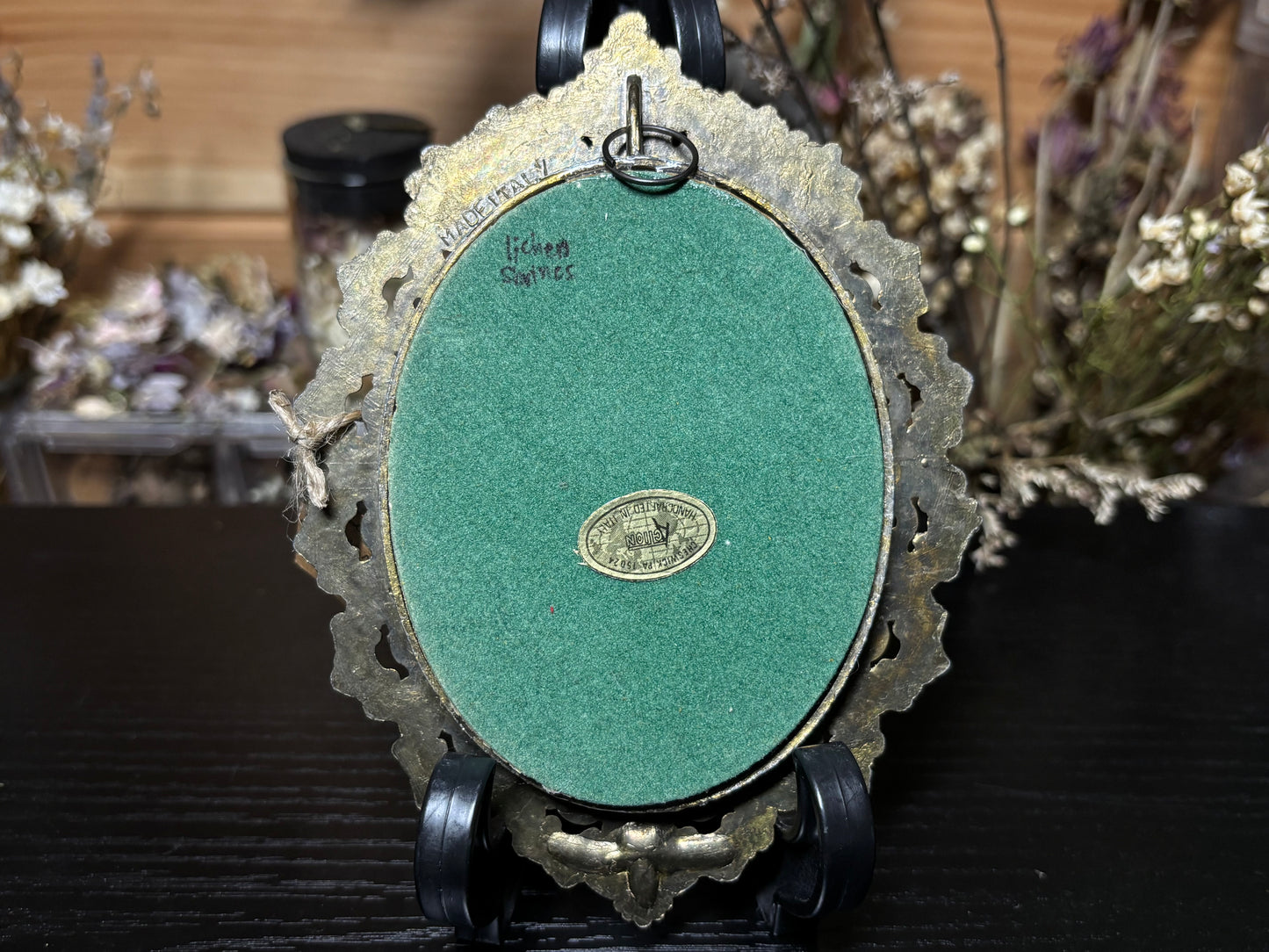 wolf spider ornate frame