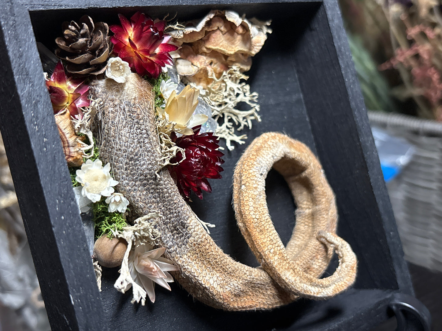 mummified opossum tail floral wooden hanging plaque