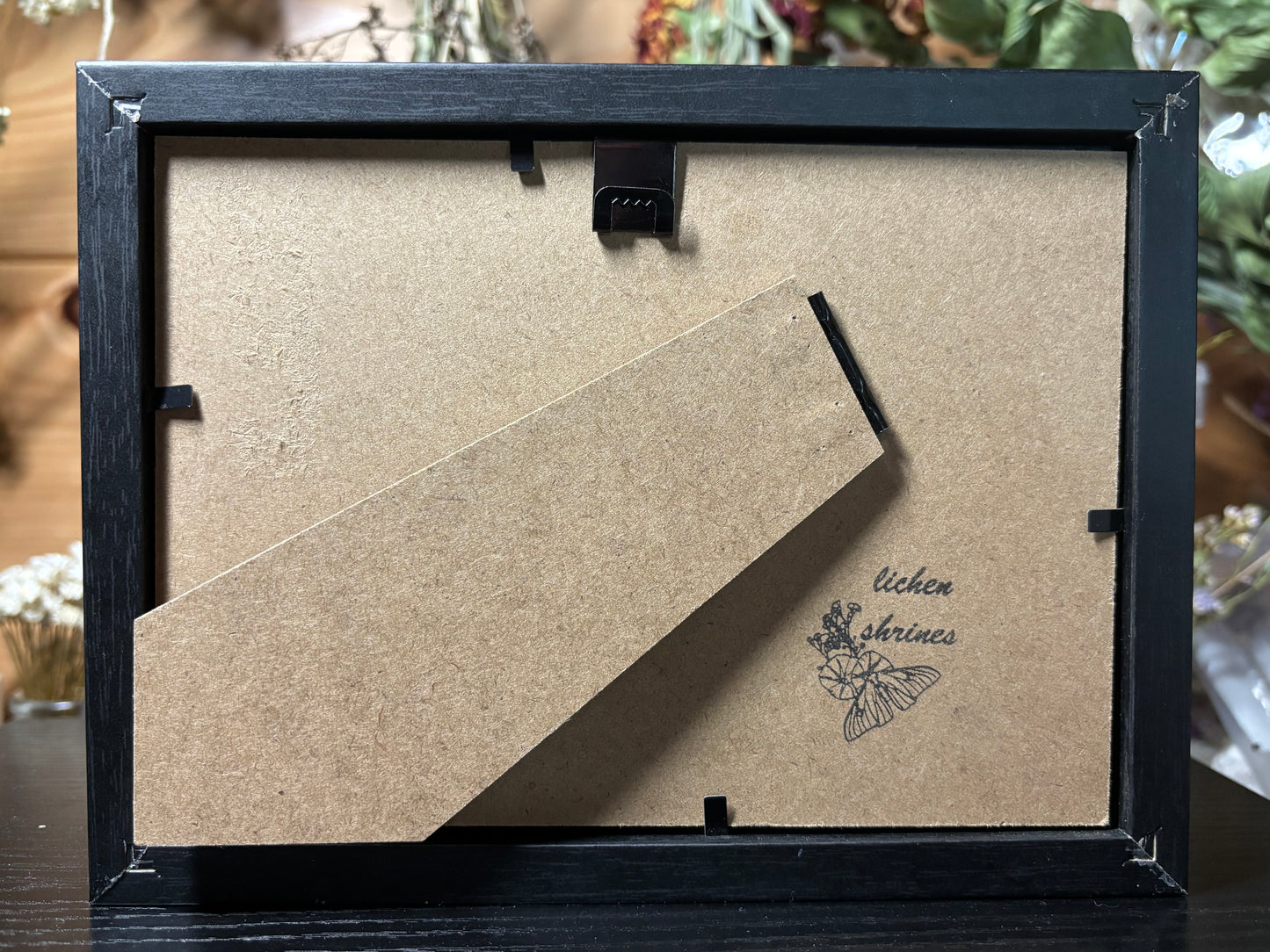 death head moth frame