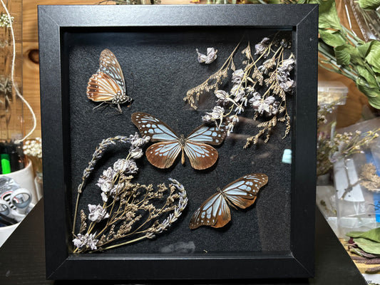 tiger butterfly trio frame