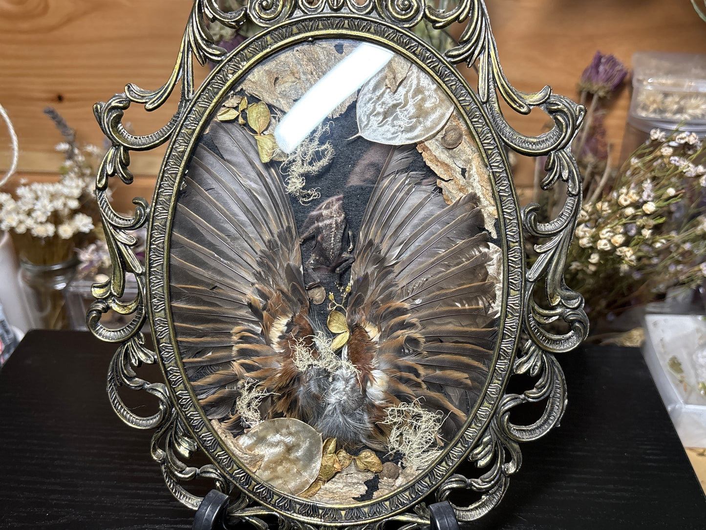 toad & sparrow wings ornate frame