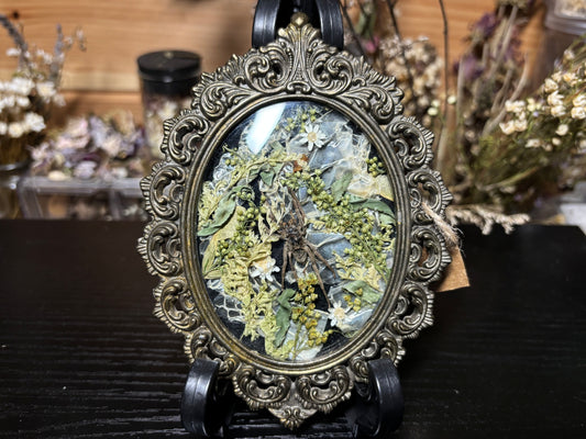 wolf spider ornate frame