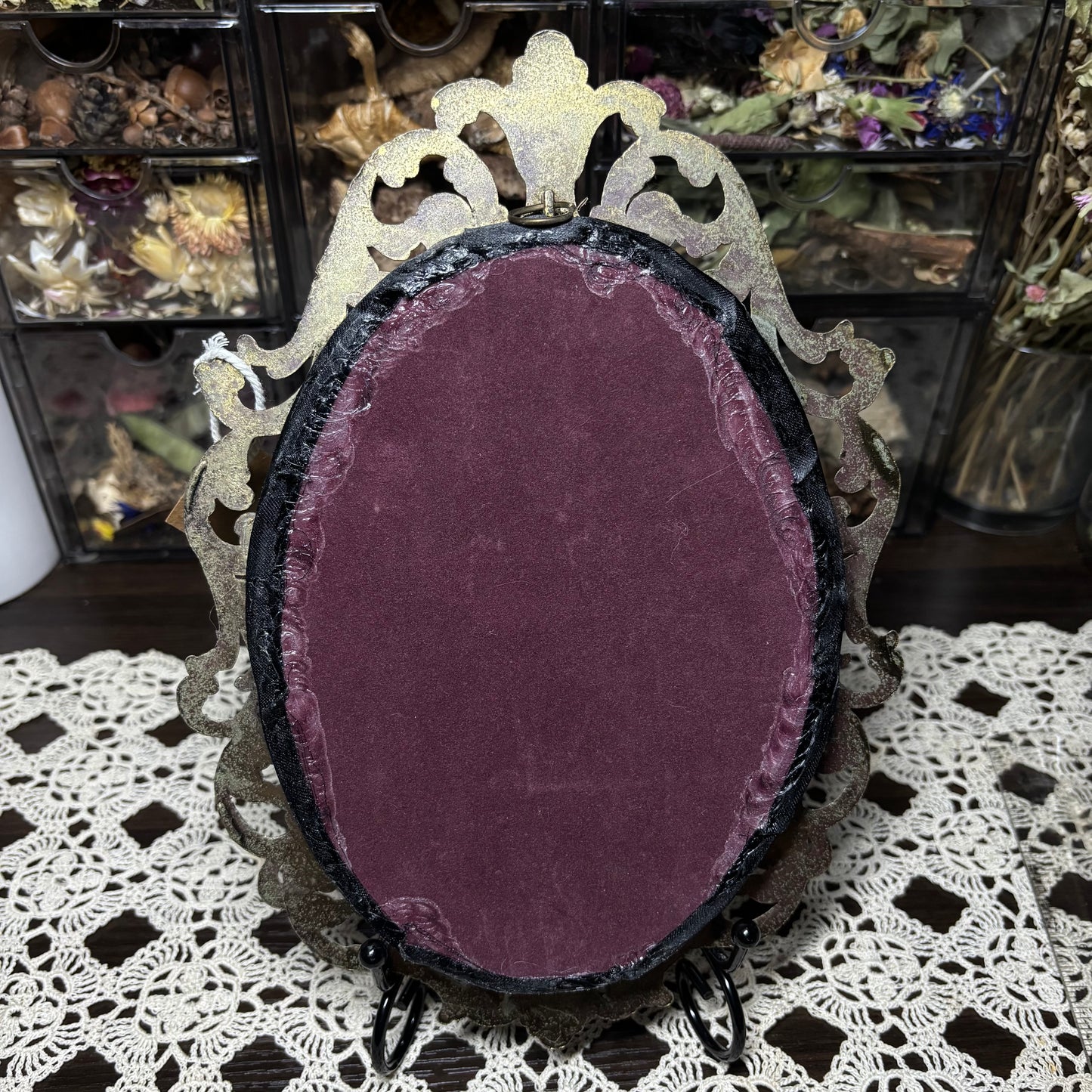 bird eater tarantula vintage frame