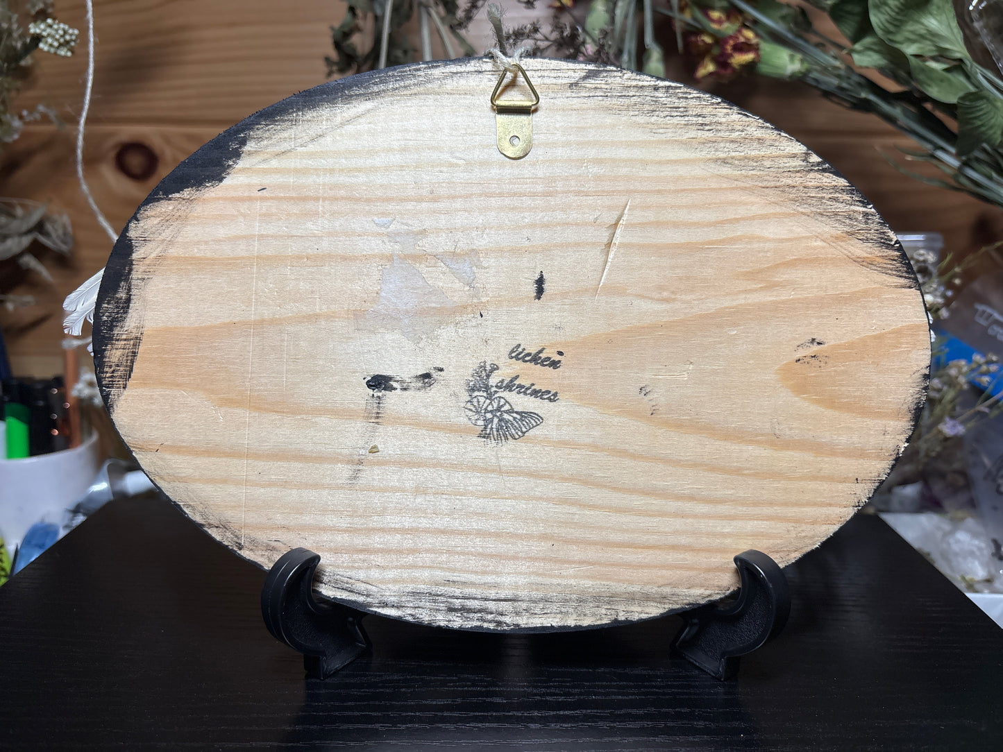 mummified farmed quail wings wooden plaque