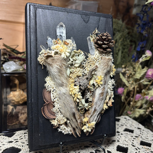 raccoon feet wood plaque