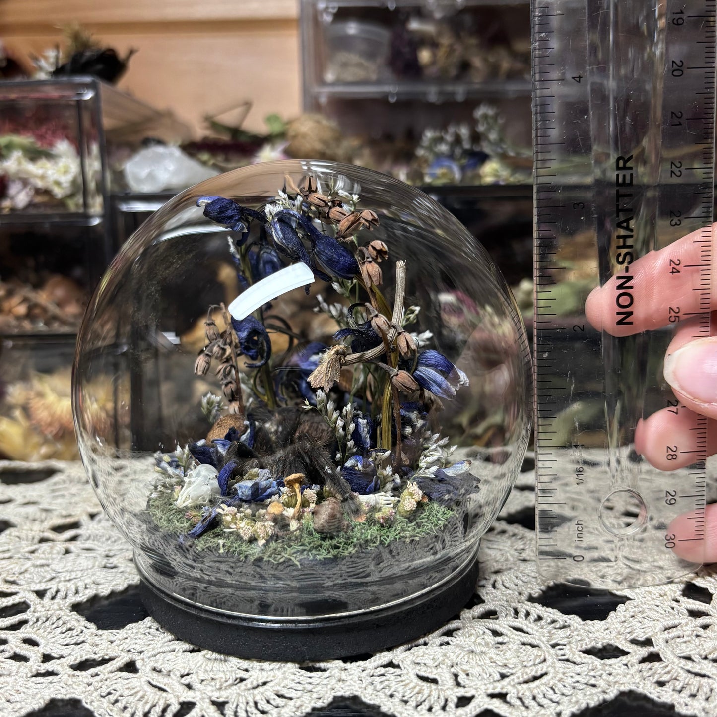 greenbottle blue tarantula globe shrine