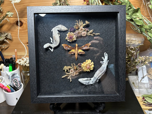 fat tail gecko pair & moth shrine frame