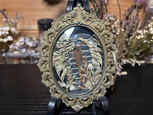 golden scorpion ornate frame