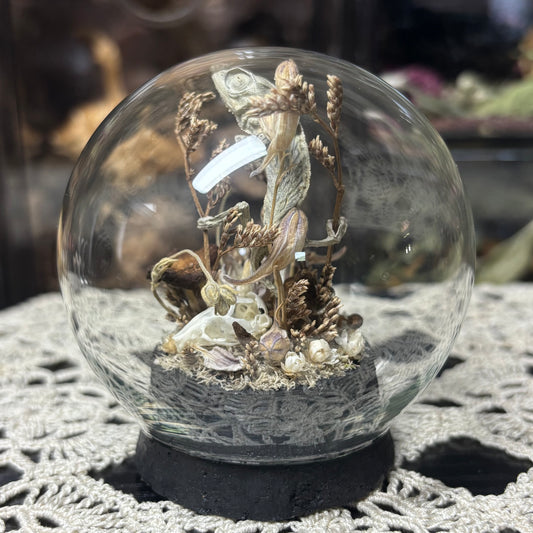baby chameleon with mouse bones globe shrine