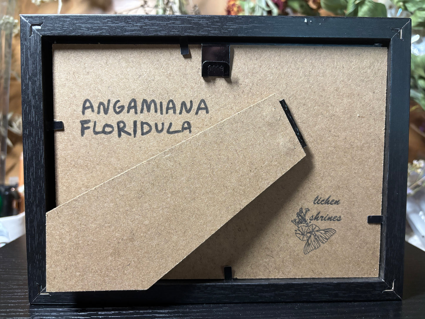 orange tropical cicada frame