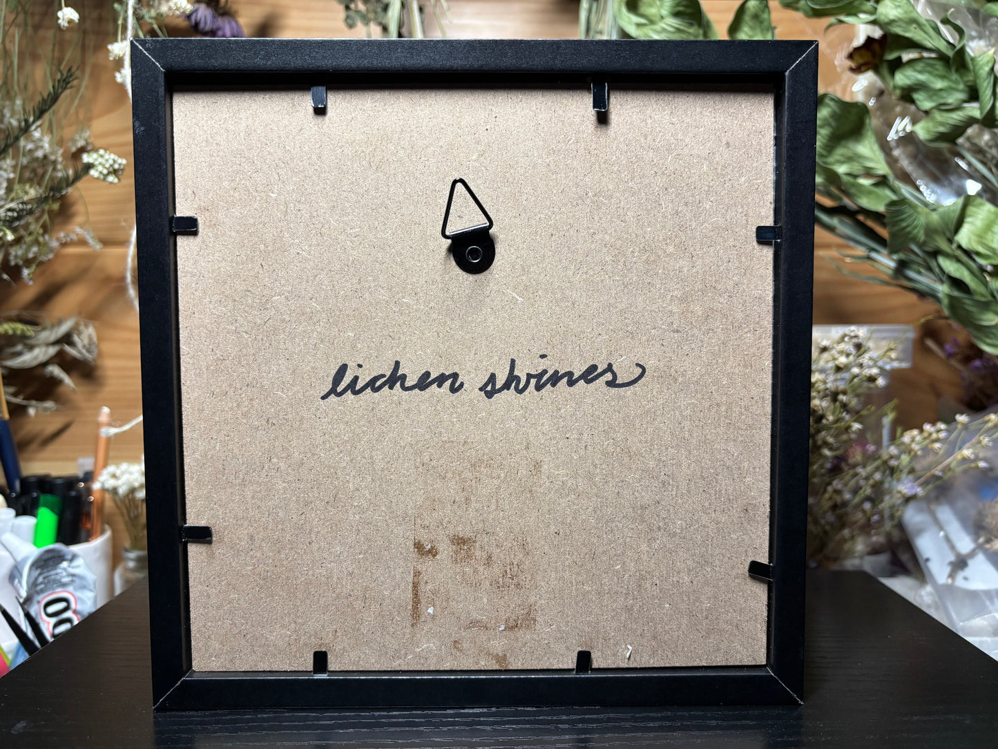 baby brown basalisk shrine frame