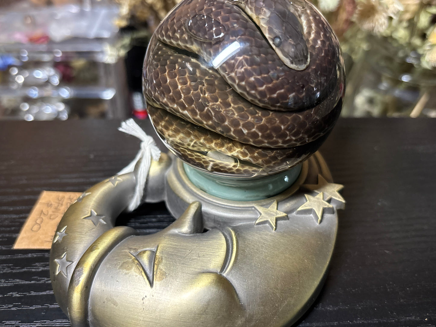 sunbeam snake in globe wet specimen