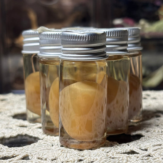 water snake egg wet specimen