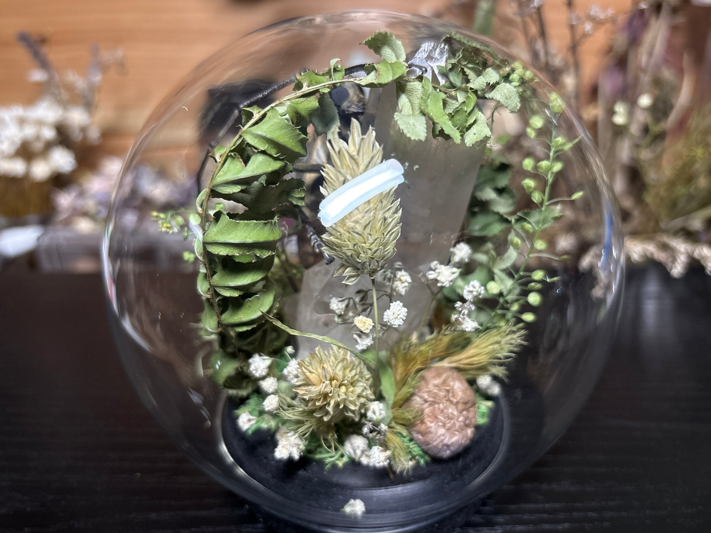 longhorn beetle globe cloche