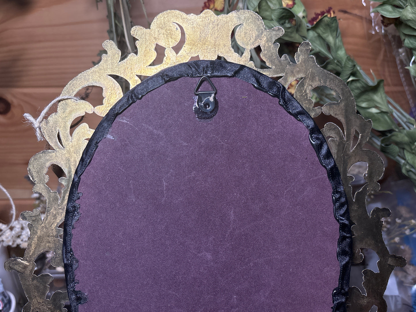 tanned opossum face & lady butterflies ornate frame