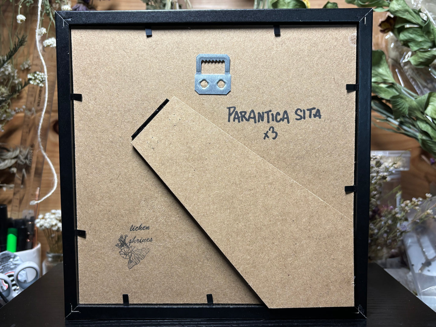 tiger butterfly trio frame