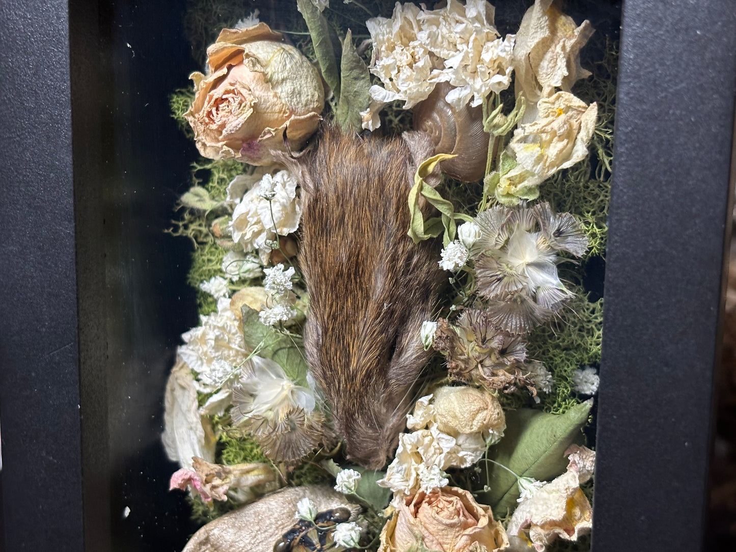rat head garden shrine frame