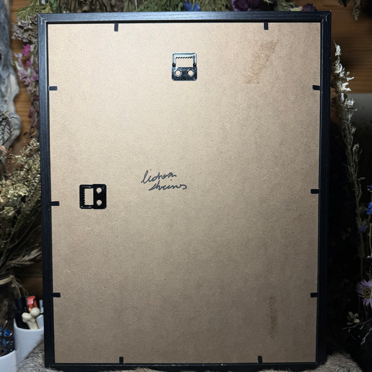pair of atlas moths frame