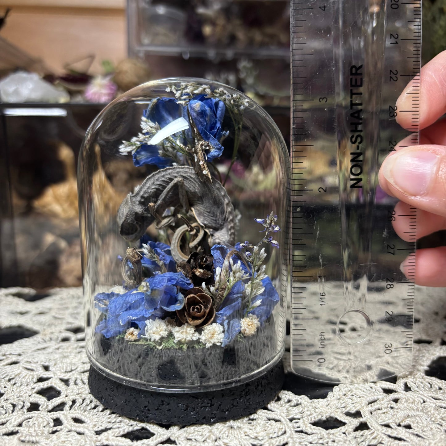baby chameleon dome shrine