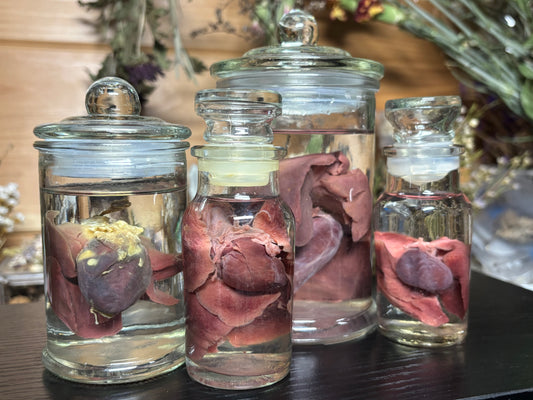 heart & lung sets wet specimens