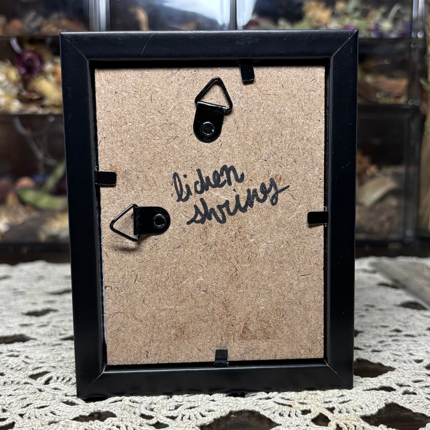 mouse & moths frame