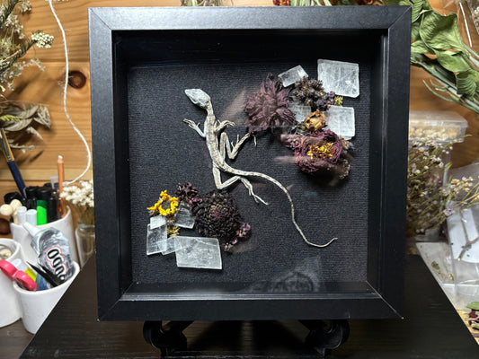 baby brown basalisk shrine frame