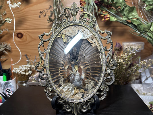 toad & sparrow wings ornate frame