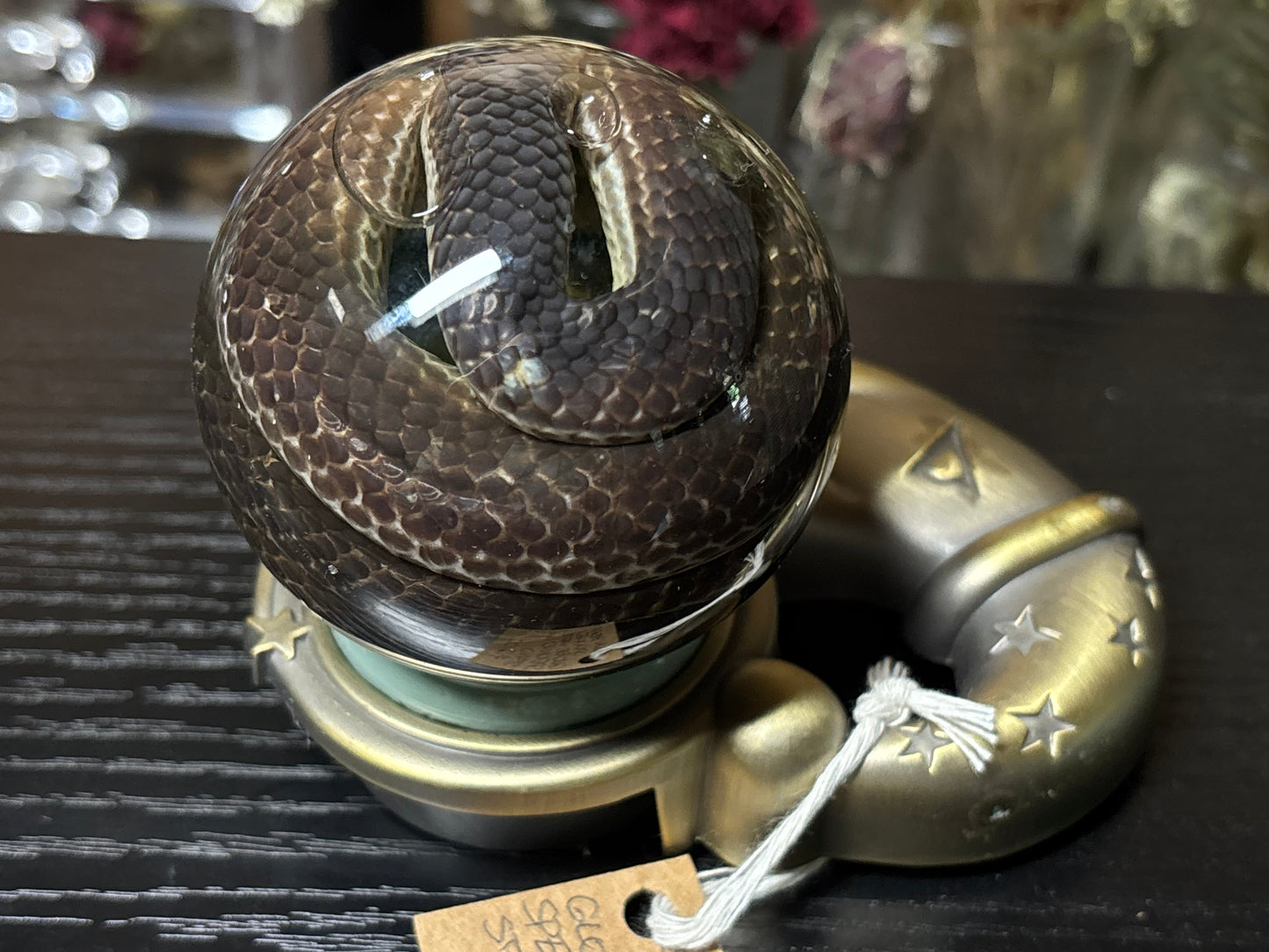 sunbeam snake in globe wet specimen