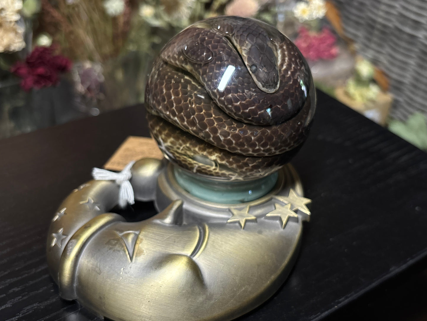 sunbeam snake in globe wet specimen
