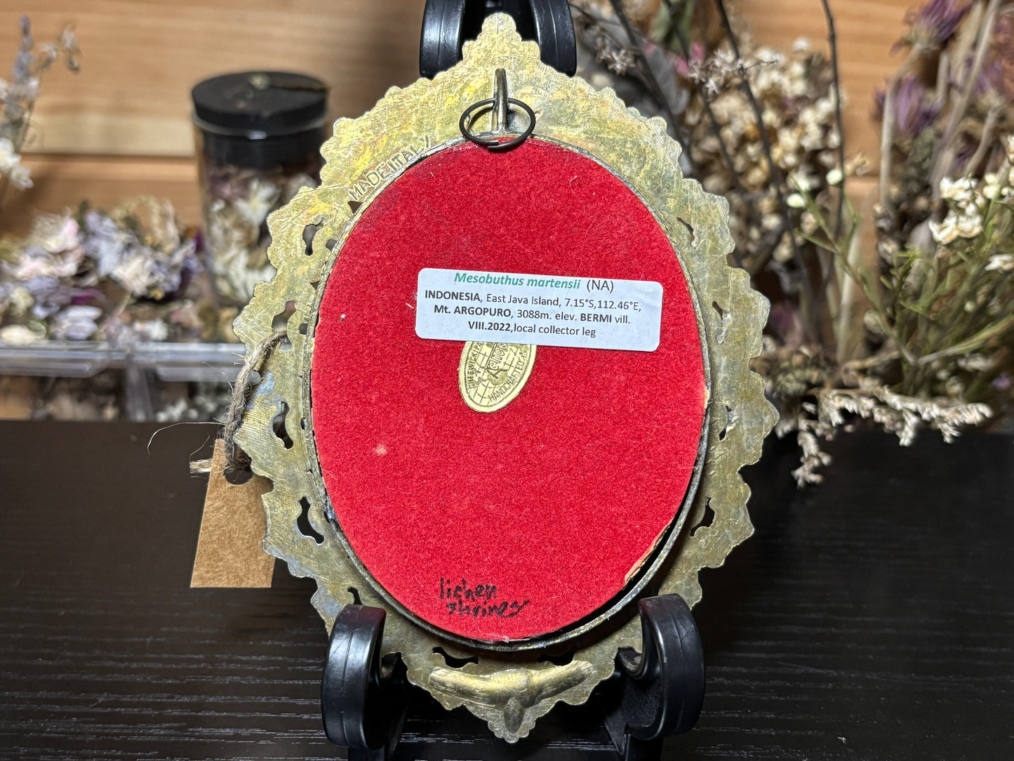 golden scorpion ornate frame