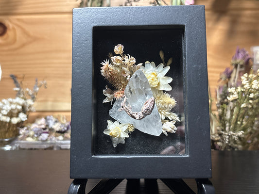 baby crested gecko shrine frame