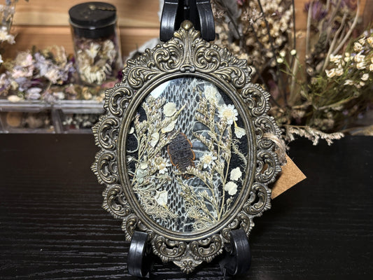 trilobite beetle ornate frame