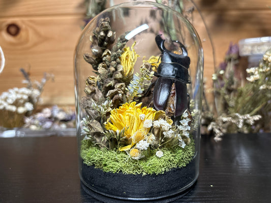 stag beetle cloche