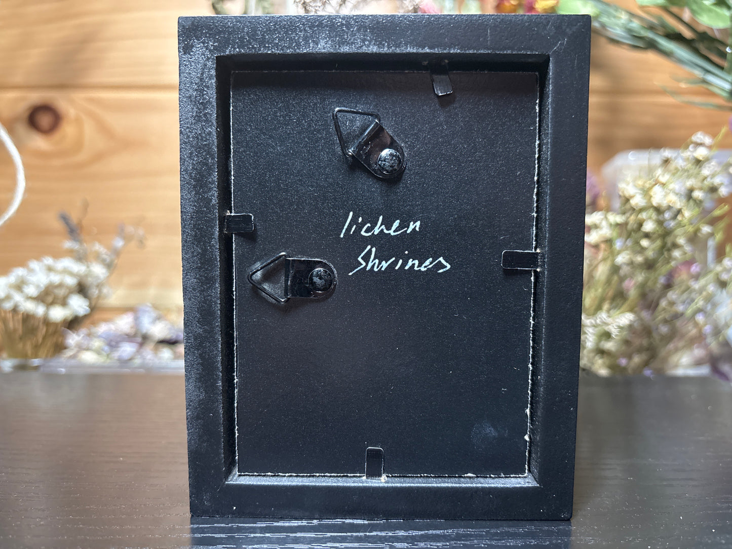 baby crested gecko shrine frame