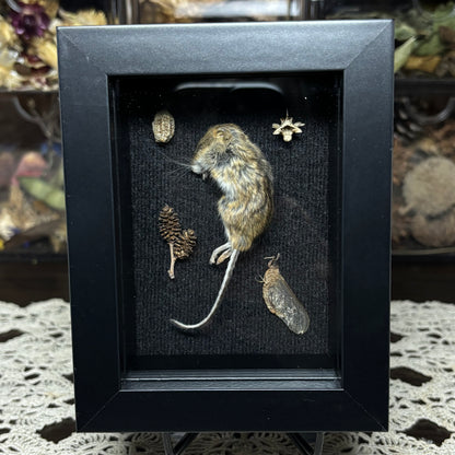 mouse & natural findings frame