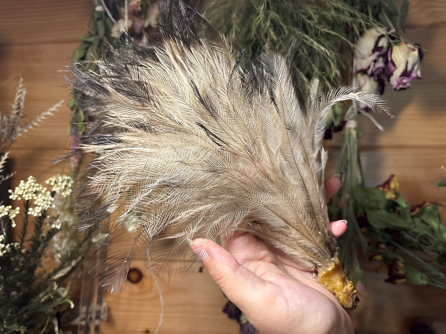 emu parts bundle