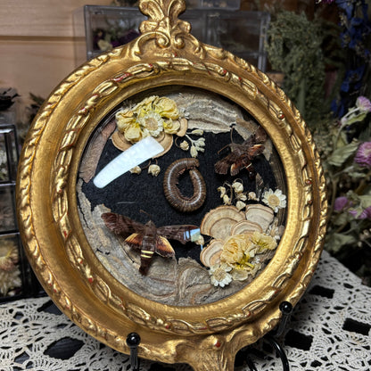 pair of nessus sphinxes & millipede vintage frame