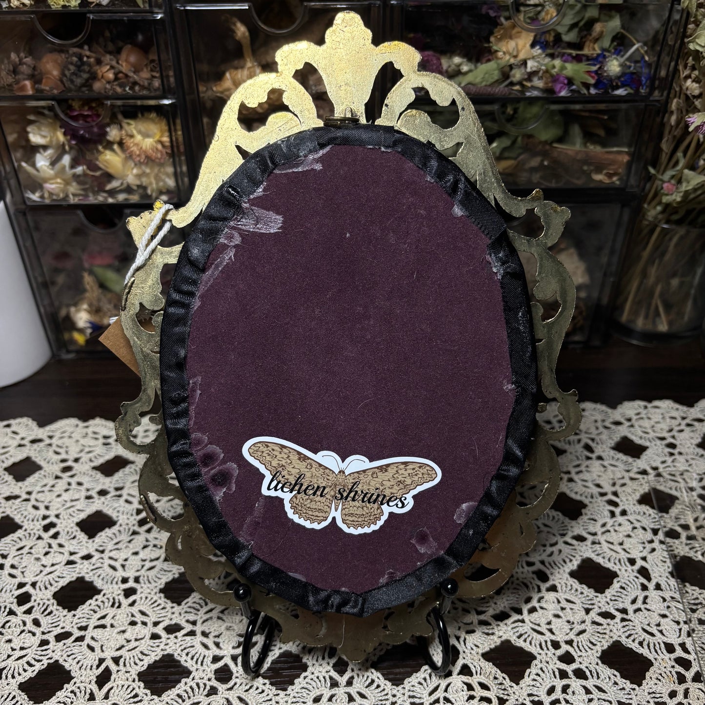 pair of io moths vintage frame