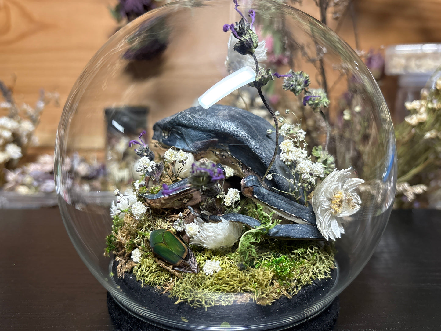 monkey tree frog globe cloche