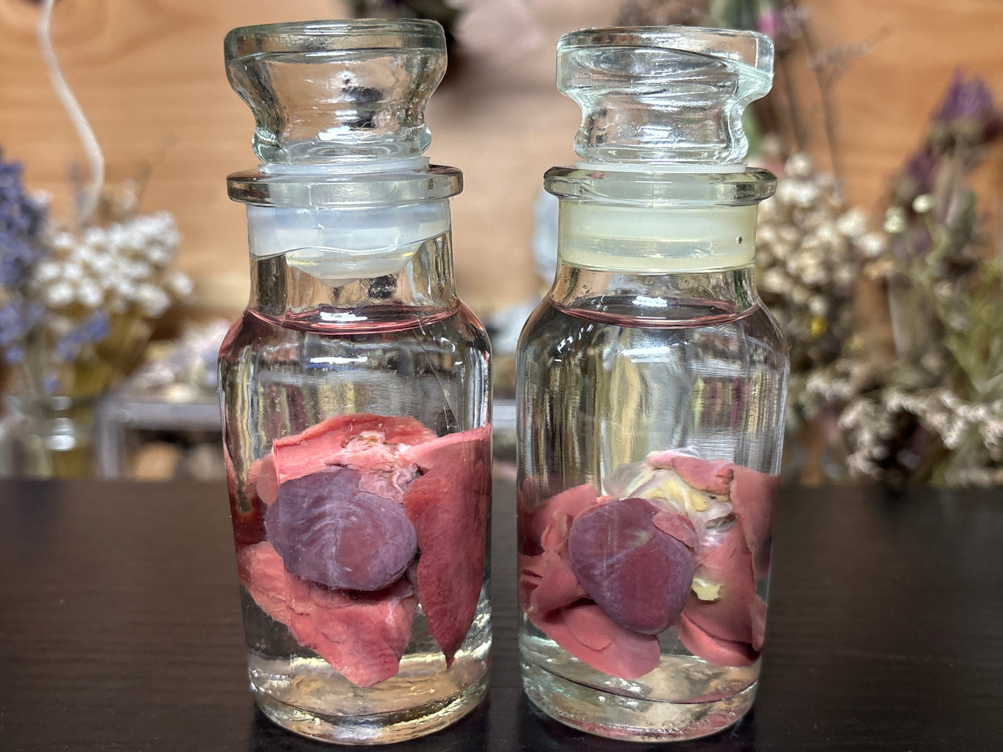 heart & lung sets wet specimens