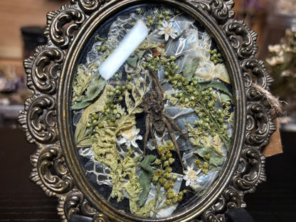 wolf spider ornate frame
