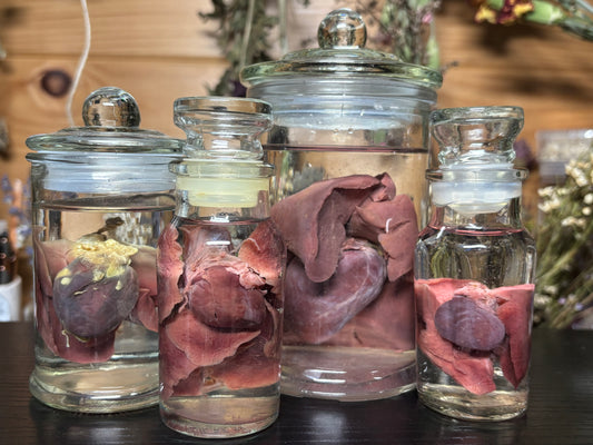 heart & lung sets wet specimens