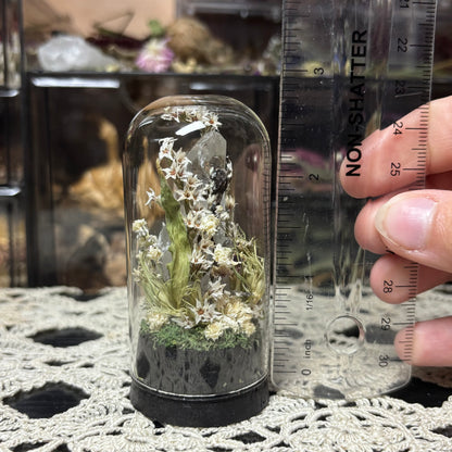 milk frog dome shrine