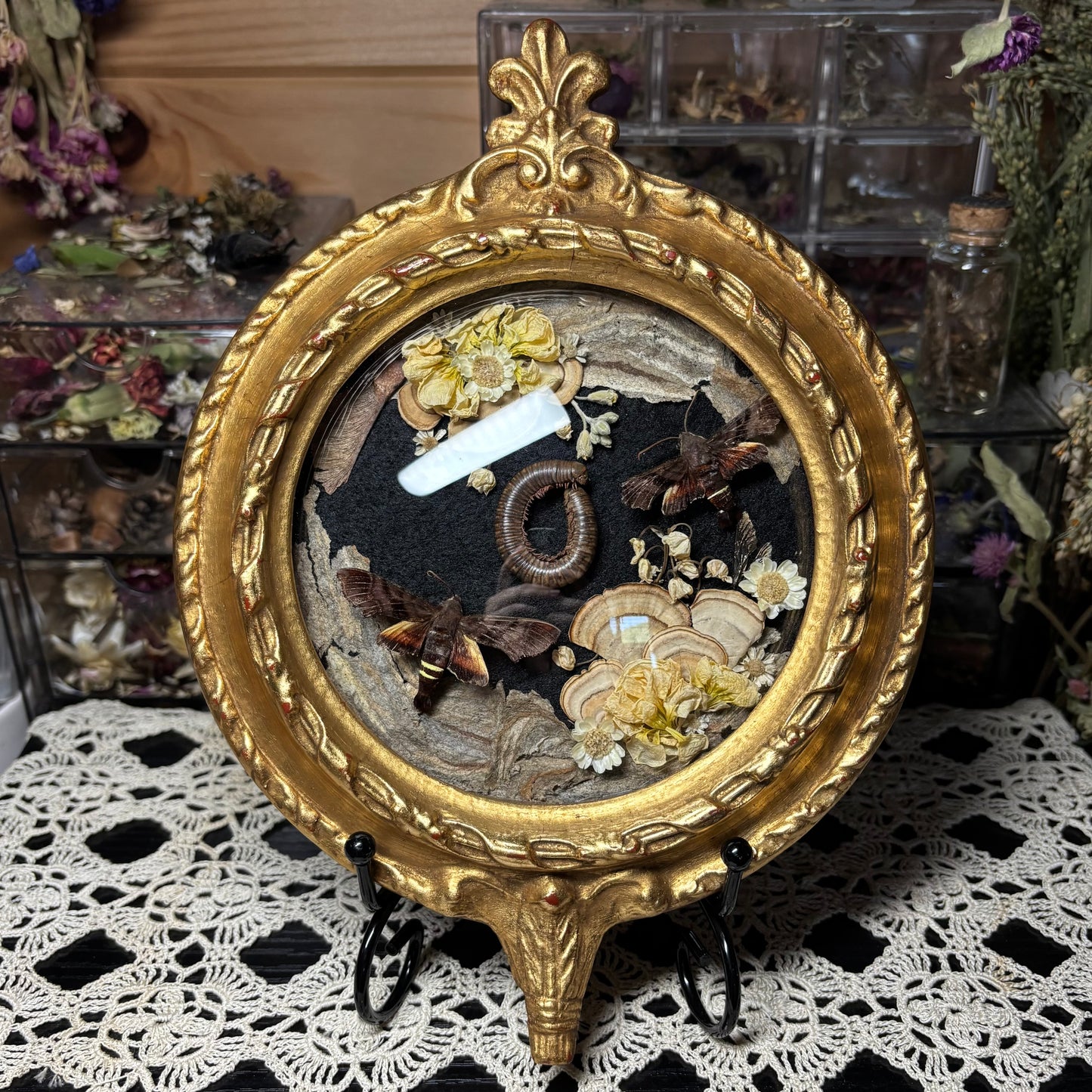 pair of nessus sphinxes & millipede vintage frame