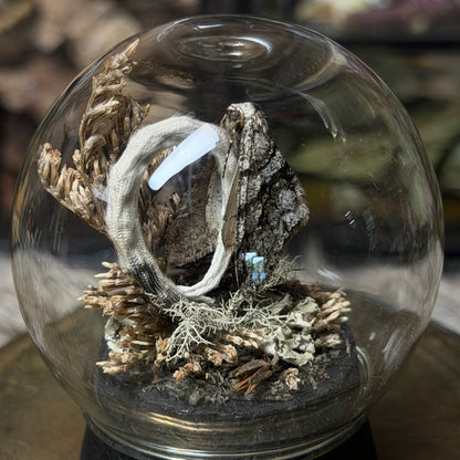 mummified opossum joey tail globe cloche