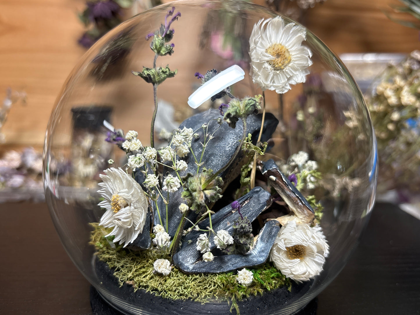 monkey tree frog globe cloche